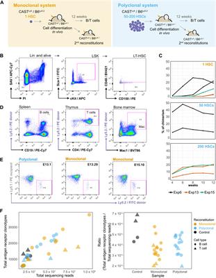 In Vivo Clonal Analysis Reveals Random Monoallelic Expression in Lymphocytes That Traces Back to Hematopoietic Stem Cells